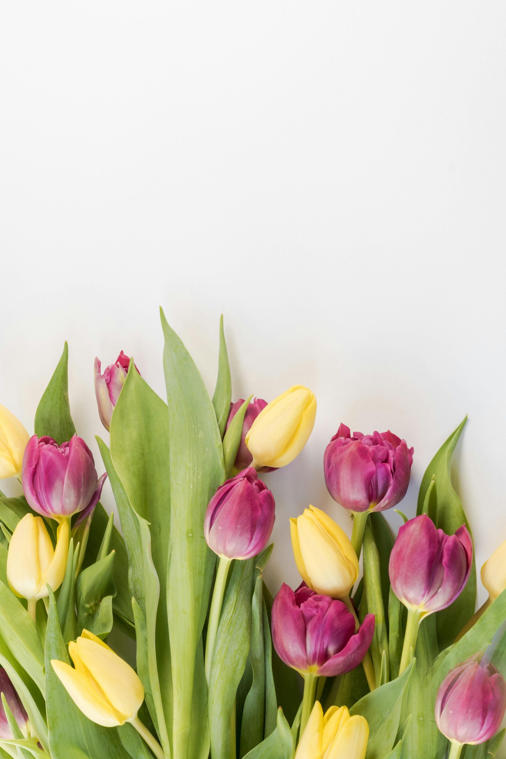 Fabric Flowers